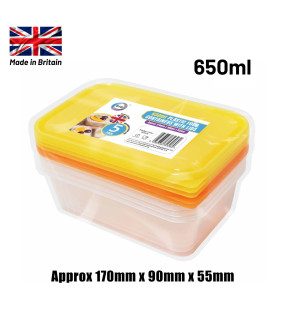 5pc 650ml Plastic Containers with Lids