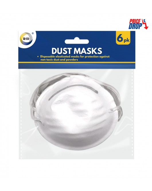 6pc Dust Masks
