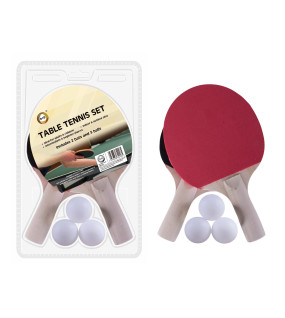 Table Tennis Set