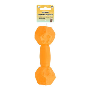 Squeaky Dumbbell Dog Toy