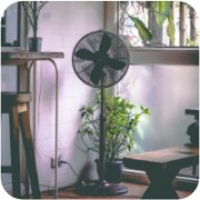 Wholesale Fans